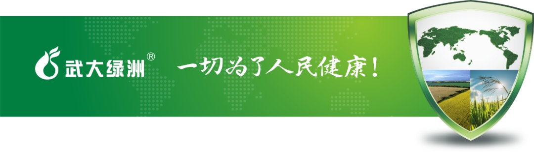 ʱ|AG(AsiaGaming)Ӫ